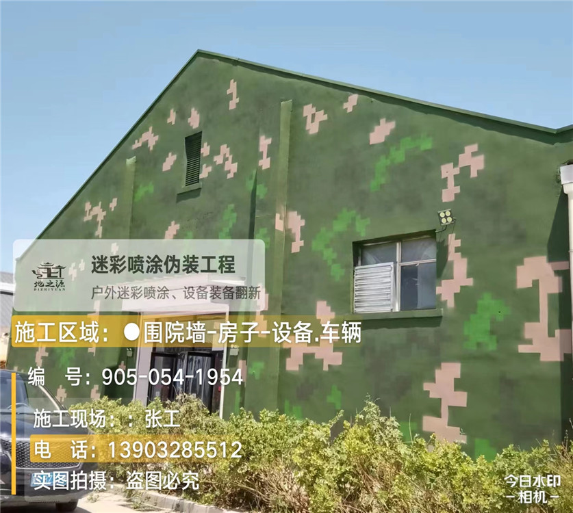定安外墙数码迷彩漆施工报价清单（100㎡标准墙面测算）